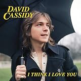I Think I Love You (7") [Analog]