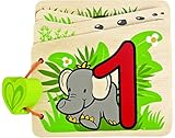 Hape(ハペ) マイセカンドブック 702813