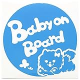 ブルー（青） 犬 ポメラニアン 女の子 リボン Baby on board ベビーオンボード ステッカー 窓ガラス用シールタイプ 車 戌 干支 動物