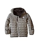 (ザノースフェイス) THE NORTH FACE キッズコート・ジャケット・アウター Reversible Thermoball Hoodie (Infant) Metallic Silver 6-