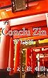 Conclu Zin-171225