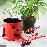 (観葉)ブリキマンとハイドロ苗XLサイズのお買い得セット(レッド) 本州・四国限定[生体]