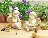 野川農園 おすわりエンジェル (2種アソート)