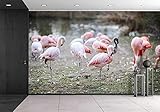wall26 - 粘着壁紙 大きな壁画シリーズ 100"x144" WMR-WP-X-D158-100x24x6