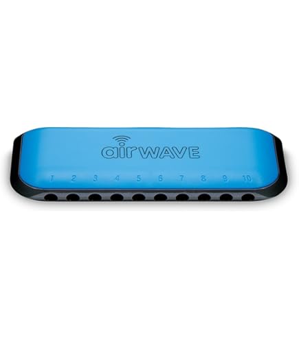 長渕剛　公式　ハーモニカ　セット　グッズ　当時品 Amazon.co.jp: 長渕剛モデル ハーモニカセット 空SORAツアー