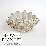 プランター 植木鉢 貝型鉢 シャコ貝 プランター中 （底穴あり） レジン 貝モチーフ 鉢 オーナメント