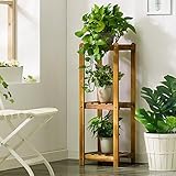 LRW 木の花の棚多層の植木鉢のラックバルコニーの居間室内の花 ( Size : 3 layer )