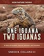 One Iguana, Two Iguanas: A Story of Accident, Natural Selection, and Evolution