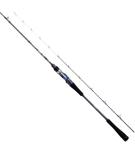 Amazon | ダイワ(DAIWA) 船竿 極鋭ゲーム73 73 MH-175AGS 釣り竿