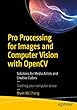 Pro Processing for Images and Computer Vision with OpenCV: Solutions for Media Artists and Creative Coders