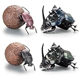 アニマリエコレクション 1/1 フンコロガシ 4個入りBOX