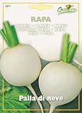 【HORTUS社種子】【Art.5271】ターニップ・パラ ディ ネーヴェ