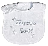 Raindrops Heaven Sent Embroidered Bib, Grey by Raindrops [並行輸入品]
