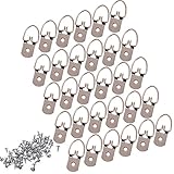 BCP 30pcs DリングHeavy Duty Hanging画像ハンガーフレームHanging with Screws Single Hole TOOL