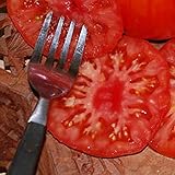 TOPmountain 甘いトマト種子 50個 庭の果物と野菜の種子