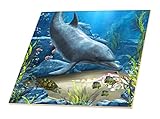 Simone GatterweデザインSea Life – A Dolphin Swims in the Ocean with Turtle Fishes and More – タイル 12" ct_