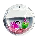 KINGZUO　インテリア 壁掛け水槽 アクアリウム 観葉植物を入れて ストーン 水草 金魚鉢 植物 花 装飾 花瓶 ボトル ぶら下げ クリア アクリル製 壁 水耕栽培 雑貨 飾り 結婚式 容器 透け