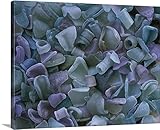GREAT BIGキャンバスギャラリー‐ sea-washedガラスフラグメント 14" x 11" 71517_1_14x11_none