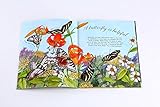 Chronicle Books(クロニクルブックス)Butterfly Is Patient ペーパーバック(H28×W23×D0.5cm)