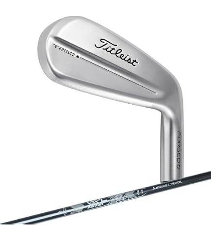 Amazon.co.jp: タイトリスト(TITLEIST) アイアンT200 3G RH NS 105T S