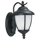Sea Gull Lighting 84049-185 Outdoor Sconce with Swirled Marbleize?Glass Shades, Forged Iron Finish [