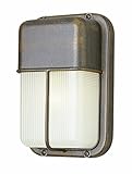 Trans Globe Lighting 41103 SAL 10-Inch 1-Light Outdoor Bulkhead, Satin Aluminum [並行輸入品]
