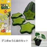 秋きゅうりの苗とデコきゅう（星）のセット[お子様と育ててデコ弁に！] ノーブランド品