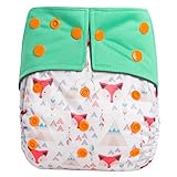 HappyEndingsTM Night, Night Charcoal Bamboo Pocket Cloth Diaper + 5 Layer Charcoal Bamboo Insert Tri