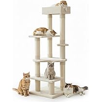 51mW2pNPj3L._AC_UL210_SR210,