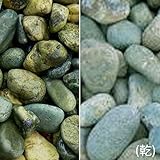 マツモト産業 ヤマト和風本玉石 青玉石(20kg)(5袋セット) 2分(7-10mm)