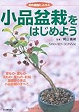 小品盆栽をはじめよう: 和の植物にふれる