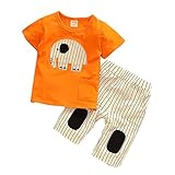 【SEBLES】ベビー 赤ちゃん 男の子 半袖 ラウンドネック ゾウさん 象 無地 ポケット Tシャツ ストライプ ズボン ボトムス パンツ セット ツーピース コットン 綿 夏 春(タイプB,80c