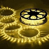 DELight 150ft Warm White 2 Wire LED Rope Light Outdoor Home Holiday Valentines Party Restaurant Cafe