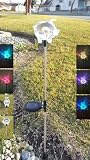 Set of 2 Clear Acrylic Pig Solar Powered Garden Yard Stake LED Color Change Lights [並行輸入品]