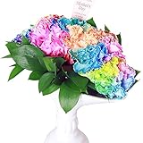 遅れてごめんね 母の日 ギフト レインボーカーネーション