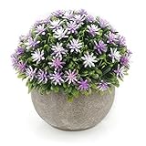 velener Miniプラスチック人工松ボールトピアリーPlant Pots for Home Decor (パープル花)