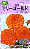 カネコ種苗 草花タネ781 マリーゴールド アフリカンオレンジ 10袋セット