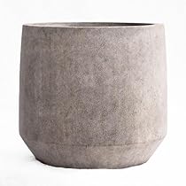 Amazon | 植木鉢 大型 ファイバーセメント製 ベルベット ラウンド