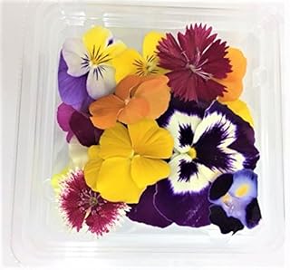エディブルフラワーはどこで買える 花の情報局