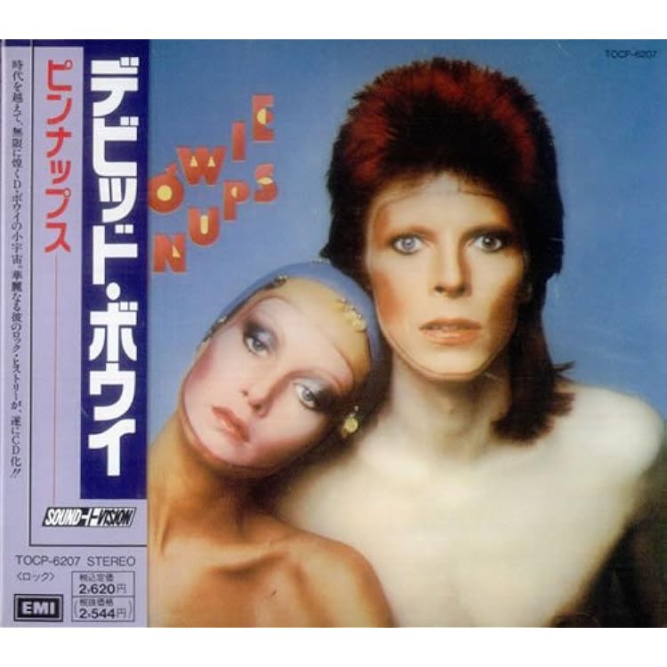 デヴィッド・ボウイ　新品未開封（紙ジャケット ）完全生産限定盤　14枚セット デヴィッド・ボウイ 新品未開封（紙ジャケット ）完全生産限定盤 14枚