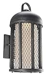 Troy Lighting Signal Hill 21.25"H 1-Light Outdoor Wall Light - Aged Silver Finish with Clear Frosted