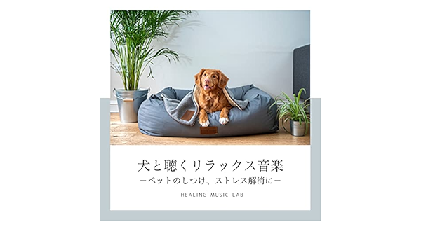 Amazon Music Healing Music Labの犬と聴くリラックス音楽 ペットのしつけ ストレス解消に Amazon Co Jp
