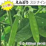 えんどう 苗 スジナイン すじ無し エンドウ 5ポットセット