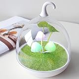 Touch Dimmer Color Changing Children's Lamp with Sensor Vibration Birdcage Chargeable Bedside Lamp H