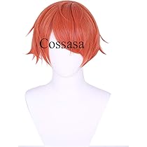 Amazon.co.jp: 即納 ハーツラビュル コスプレ かつら エース