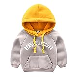 PANCY 子供服 秋冬 スウェットパーカー フード付き コート フーディ 長袖 裏起毛 シンプル 男の子 女の子(110cm,ライトグレー)