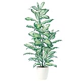 エフプランター 人工観葉植物-ゴールデンディフェンバギア-180-9号鉢-RP300