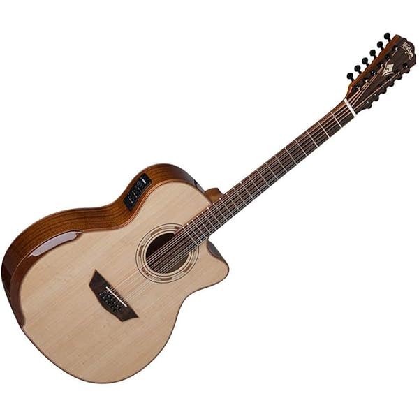 Amazon.co.jp: [Washburn] アコースティックギターケース GCGADLX