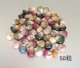 グラスジェムコーン glass gem corn マルシェ赤坂 鹿児島産 (50粒)