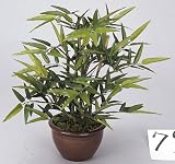 229A45 光触媒観葉植物 ﾃｰﾌﾞﾙﾊﾞﾝﾌﾞｰ